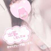 ヒメ日記 2025/09/16 13:42 投稿 みぞれ アリスカフェ