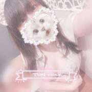 ヒメ日記 2025/09/17 12:01 投稿 みぞれ アリスカフェ