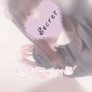 ヒメ日記 2025/09/22 17:02 投稿 みぞれ アリスカフェ