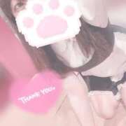 ヒメ日記 2025/09/23 19:01 投稿 みぞれ アリスカフェ