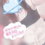 ヒメ日記 2025/09/24 20:00 投稿 みぞれ アリスカフェ