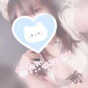 ヒメ日記 2025/09/25 15:06 投稿 みぞれ アリスカフェ