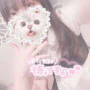 ヒメ日記 2025/09/27 15:16 投稿 みぞれ アリスカフェ