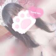 ヒメ日記 2025/09/27 16:16 投稿 みぞれ アリスカフェ