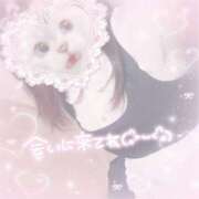 ヒメ日記 2025/10/06 14:18 投稿 みぞれ アリスカフェ