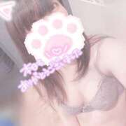 ヒメ日記 2025/10/09 22:01 投稿 みぞれ アリスカフェ