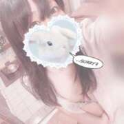 ヒメ日記 2025/10/10 21:16 投稿 みぞれ アリスカフェ