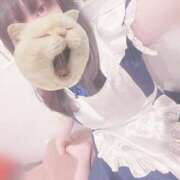 ヒメ日記 2025/10/13 10:01 投稿 みぞれ アリスカフェ