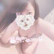 ヒメ日記 2025/10/27 15:39 投稿 みぞれ アリスカフェ