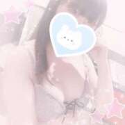 ヒメ日記 2025/10/29 18:11 投稿 みぞれ アリスカフェ