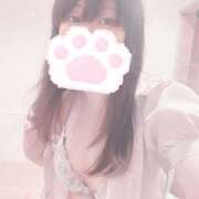 ヒメ日記 2025/11/09 14:55 投稿 みぞれ アリスカフェ