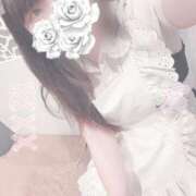 ヒメ日記 2025/11/11 17:15 投稿 みぞれ アリスカフェ