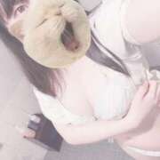 ヒメ日記 2025/11/13 11:09 投稿 みぞれ アリスカフェ