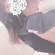 ヒメ日記 2025/11/13 15:01 投稿 みぞれ アリスカフェ