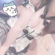 ヒメ日記 2025/11/18 15:30 投稿 みぞれ アリスカフェ