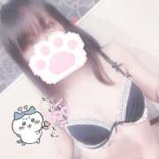 みぞれ 🐈‍⬛￤上目づかい🥺 アリスカフェ