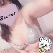 みぞれ 2月スタート🕊 アリスカフェ