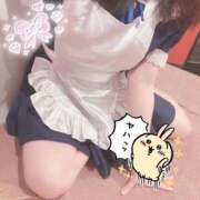 ヒメ日記 2026/04/04 21:01 投稿 みぞれ アリスカフェ