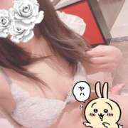 ヒメ日記 2026/04/05 20:31 投稿 みぞれ アリスカフェ