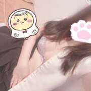 ヒメ日記 2026/04/07 12:38 投稿 みぞれ アリスカフェ