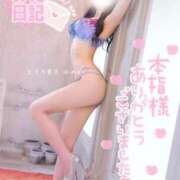 ヒメ日記 2026/04/02 14:38 投稿 ゆめか【主張が強すぎる乳房】 STELLA TOKYO－ステラトウキョウ－