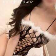 ヒメ日記 2026/04/11 12:12 投稿 ゆめか【主張が強すぎる乳房】 STELLA TOKYO－ステラトウキョウ－