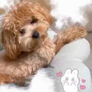 ヒメ日記 2025/11/18 13:32 投稿 りの 大阪回春性感エステティーク谷九店