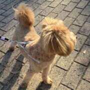 ヒメ日記 2025/12/01 10:32 投稿 りの 大阪回春性感エステティーク谷九店