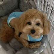 ヒメ日記 2025/12/20 18:02 投稿 りの 大阪回春性感エステティーク谷九店