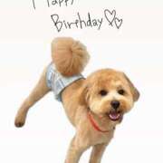 ヒメ日記 2025/12/27 23:12 投稿 りの 大阪回春性感エステティーク谷九店