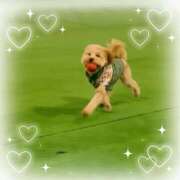 ヒメ日記 2026/01/05 19:22 投稿 りの 大阪回春性感エステティーク谷九店