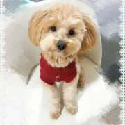 ヒメ日記 2026/02/11 20:12 投稿 りの 大阪回春性感エステティーク谷九店