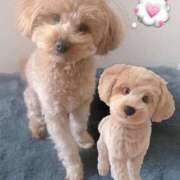 ヒメ日記 2026/02/17 13:32 投稿 りの 大阪回春性感エステティーク谷九店