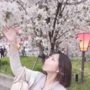 ヒメ日記 2026/04/01 14:52 投稿 りの 大阪回春性感エステティーク谷九店