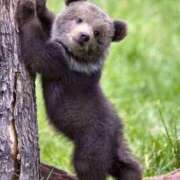 ヒメ日記 2025/10/08 07:10 投稿 梨花子(りかこ) DAHLIA(ダリア)