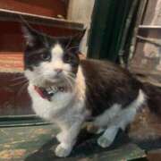 ヒメ日記 2025/02/26 00:04 投稿 えりな 上野回春性感マッサージ倶楽部