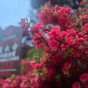 ヒメ日記 2025/04/14 22:24 投稿 えりな 上野回春性感マッサージ倶楽部