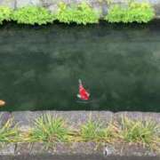 ヒメ日記 2025/04/23 23:44 投稿 えりな 上野回春性感マッサージ倶楽部