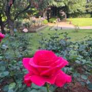 ヒメ日記 2025/07/03 12:54 投稿 えりな 上野回春性感マッサージ倶楽部