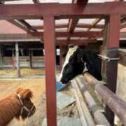 ヒメ日記 2026/03/04 06:54 投稿 えりな 上野回春性感マッサージ倶楽部