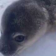 えりな 人生一周目。 上野回春性感マッサージ倶楽部