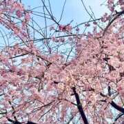 ヒメ日記 2026/03/24 20:54 投稿 えりな 上野回春性感マッサージ倶楽部