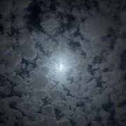 ヒメ日記 2026/03/31 19:44 投稿 えりな 上野回春性感マッサージ倶楽部