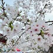 ヒメ日記 2026/04/03 18:14 投稿 えりな 上野回春性感マッサージ倶楽部