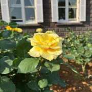 えりな ⭐︎急遽⭐︎ 上野回春性感マッサージ倶楽部