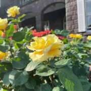 えりな ⭐︎急遽⭐︎ 上野回春性感マッサージ倶楽部