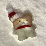 ヒメ日記 2024/12/24 07:55 投稿 まい 素人妻御奉仕倶楽部Hip's取手店