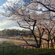 ヒメ日記 2026/04/11 19:48 投稿 カナデ SCREEN(スクリーン)