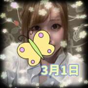 ヒメ日記 2025/03/01 14:38 投稿 あきら 癒 -いやし‐