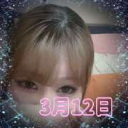 ヒメ日記 2025/03/12 14:50 投稿 あきら 癒 -いやし‐